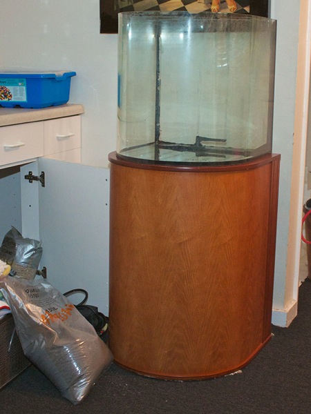 aquarium to be set up