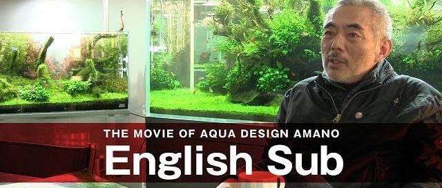 The Movie of Aqua Design Amano