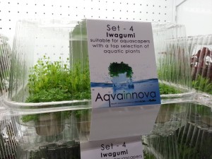 Aqvainnova Plants