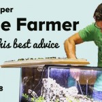 Pro Aquascaper, George Farmer, gives YOU his best advice | ScapeFu038