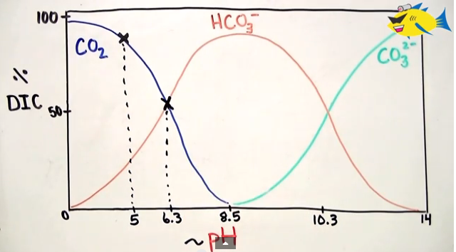 CO2 HCO3 CO3 chart