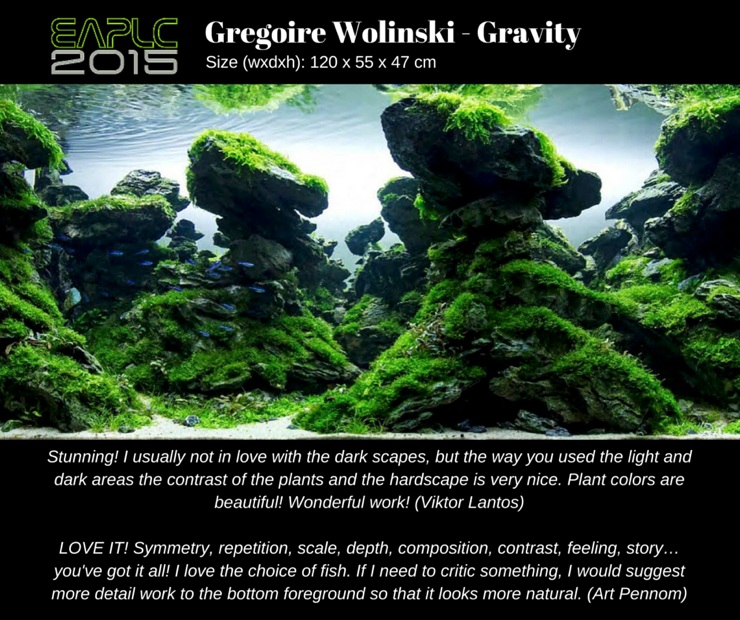 Gravity by Gregoire Wolinski