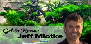 Jeff Miotke