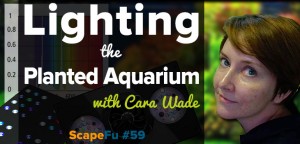 Lighting the Planted Aquarium with Cara Wade